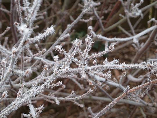 winter
