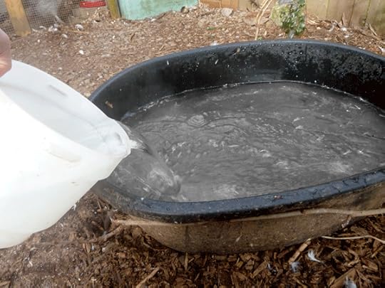 winter-pool