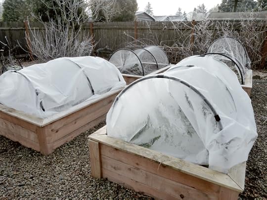 winter-beds
