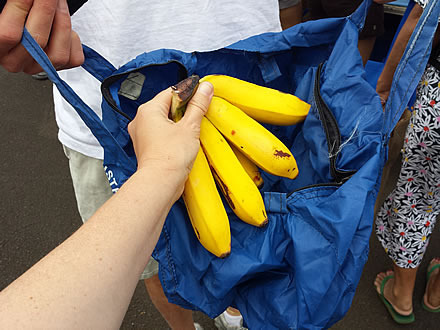 farmers-market-05