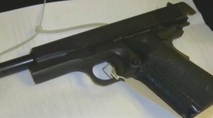 gun-in-meat