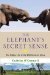 The Elephant's Secret Sense The Hidden Life of the Wild Herds of Africa by Caitlin O'Connell