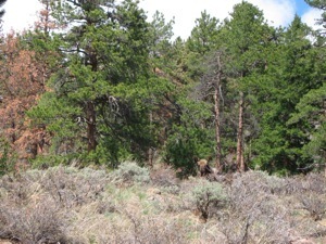 IMG 7627