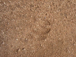 IMG 7628