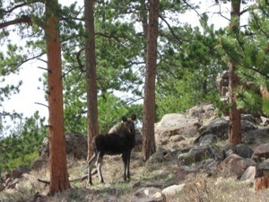IMG 7631