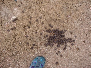IMG 7640