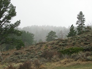 IMG 7641