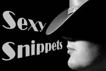 snippets button
