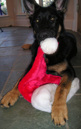 magic w-xmas hat 3