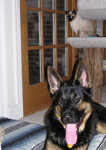 11 month magic and seren
