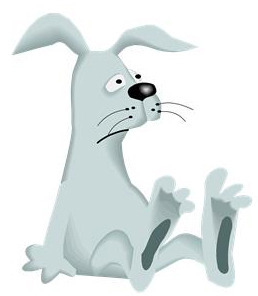 rabbit