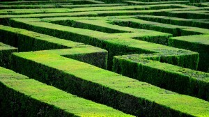 Searching for best blogs / Marcel Germain
