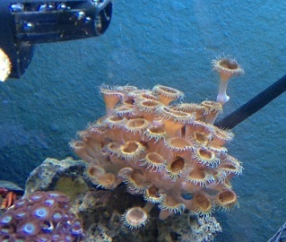 13E Palys mover moving away