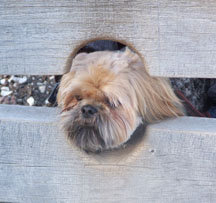 2051_1035709224596_1581421078_30090117_2390_n