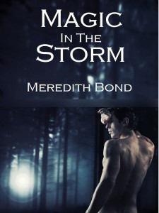 Magic in the Storm - Meredith Bond