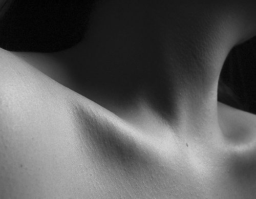 bones