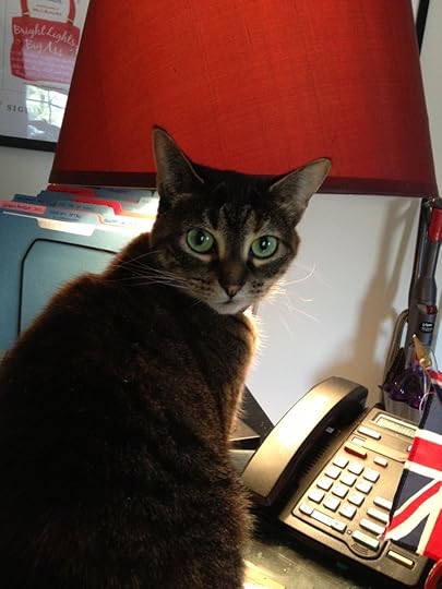 Eddy thousand yard stare