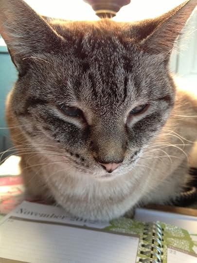 Patsy closeup