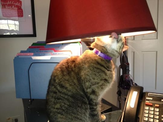 Eddie still loves lamp