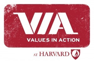 VIA-logo
