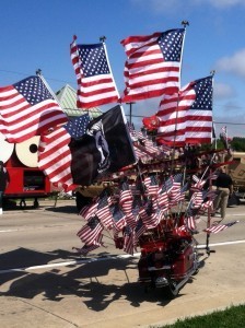 pincushion flag bike
