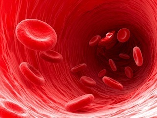 bloodcells