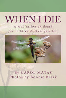 When I Die by Carol Matas. Available in print and Kindle ebook on Amazon