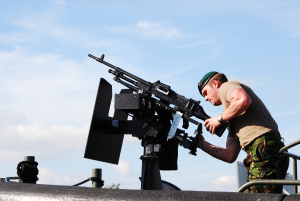 The cure for cats in the vegetable garden?