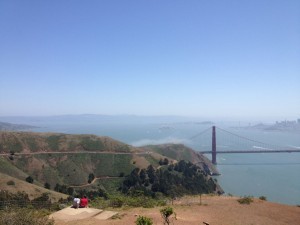 Enjoying the view