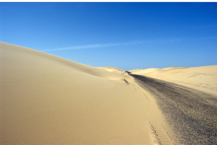 Entrepreneurs Need Vision