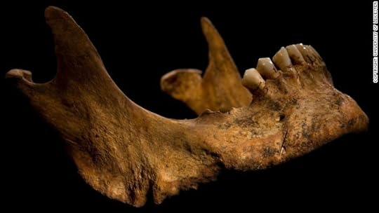 The lower jaw shows a cut mark caused by a knife or dagger.