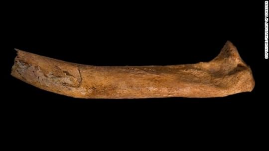 Archaeologists say it appears Richard's corpse may also have been mistreated. The image shows a cut mark on the right rib.