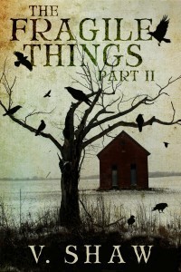 FragileThingsPII