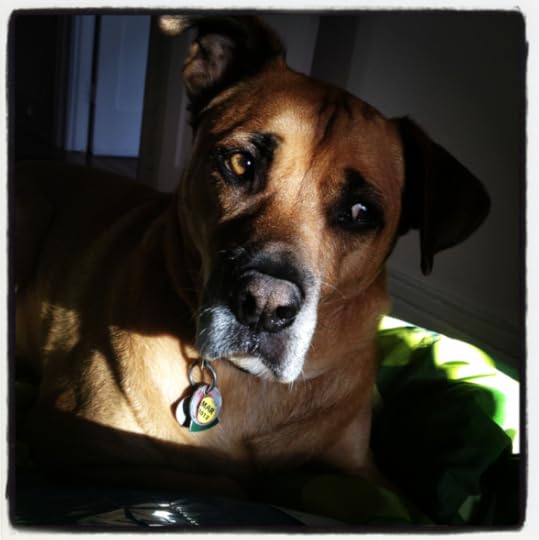 Sarah Maclean Baxter pic