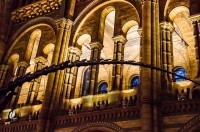 8040484682_dabe6fcf2d_z