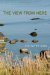 The View from Here by Ann Mihkelson