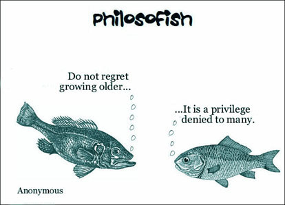 philosofish 42 small