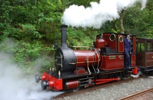 19th-century locomotive on the Talyllyn line on the coast of Wales.