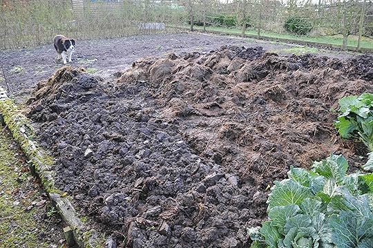 Just started digging