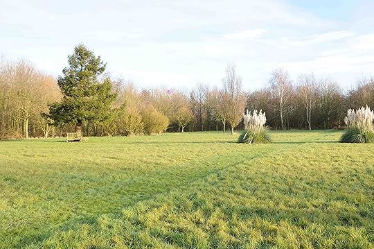 S-balloon on edge of wood