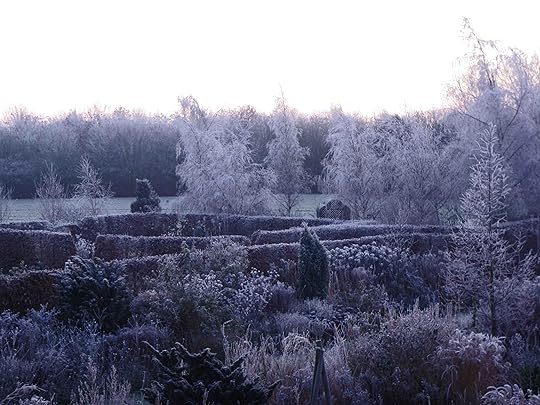 Frosty Garden