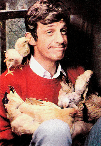 Jean-Paul Belmondo