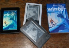 Something Like Winter by Jay Bell eBooks and paperback