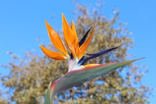 Lest we forget. My heartfelt gratitude.