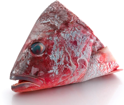 Fish Heads slow down your writing.