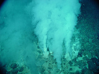 Europa model - Champagne_vent_white_smokers