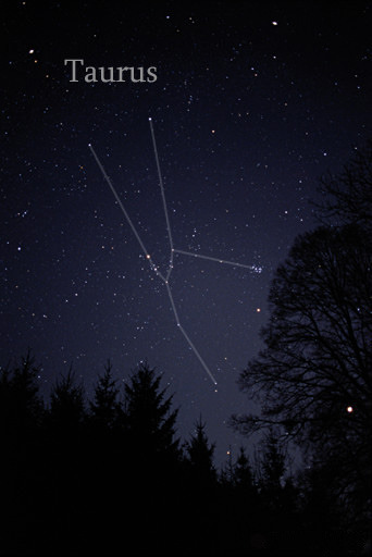 Constellation Taurus
