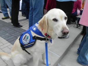 Pawswithacause2