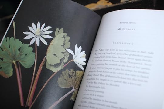 Flowers by Mary Delany