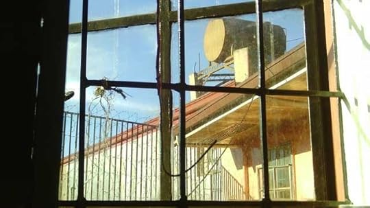 IMAG0213